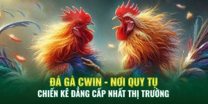 Đá-gà-CWIN