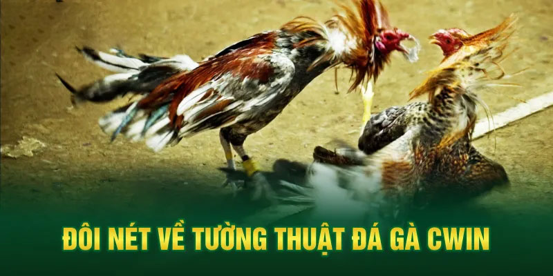 Những tính năng nổi bật của sảnh game Đá gà CWIN